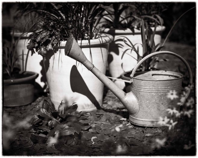 Watering can-3