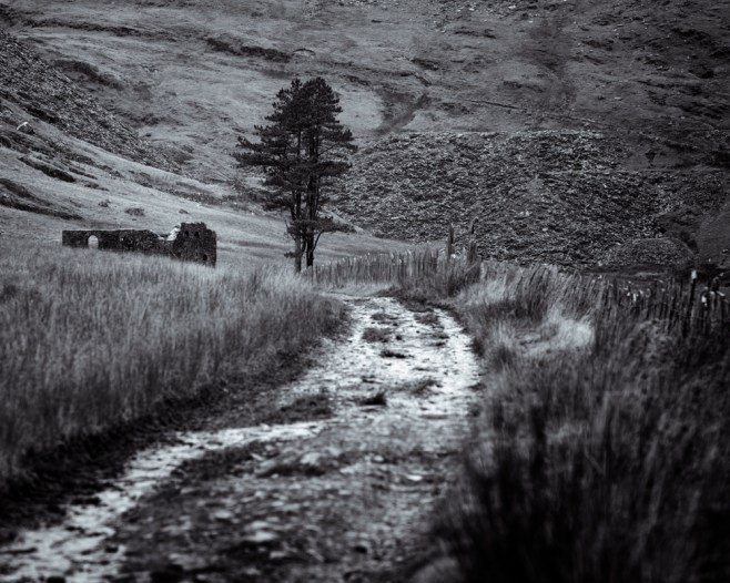 20151031-L1000175-Edit