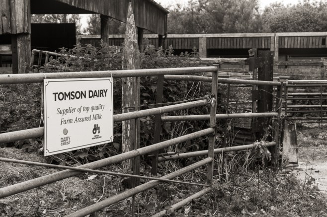 Winterborne Tomson Church-9