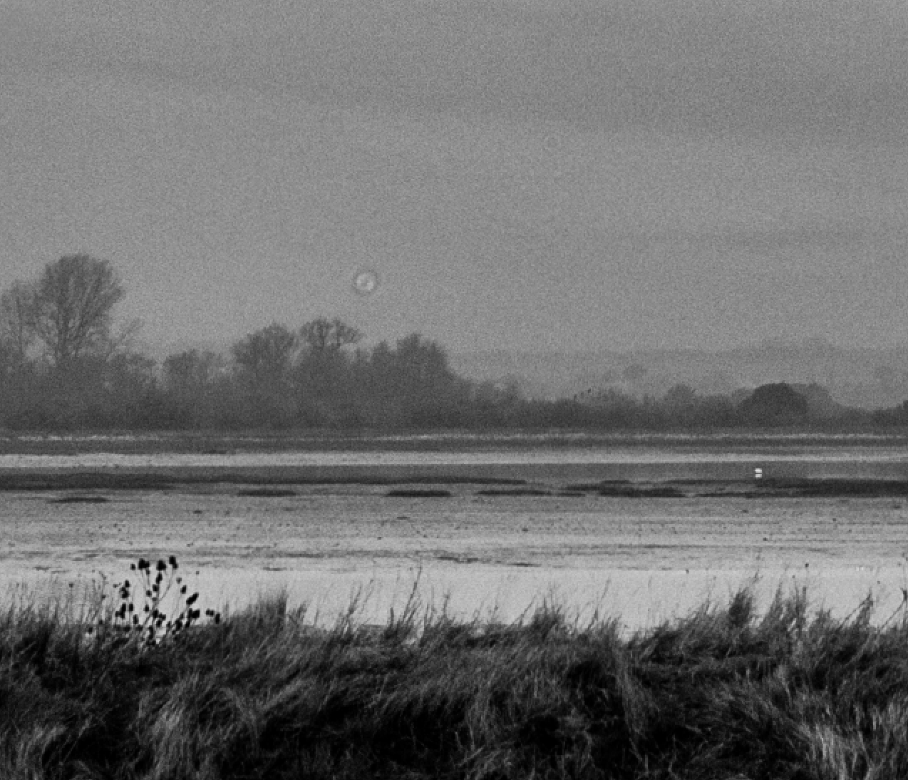 screen-shot-2017-02-06-at-12-18-07