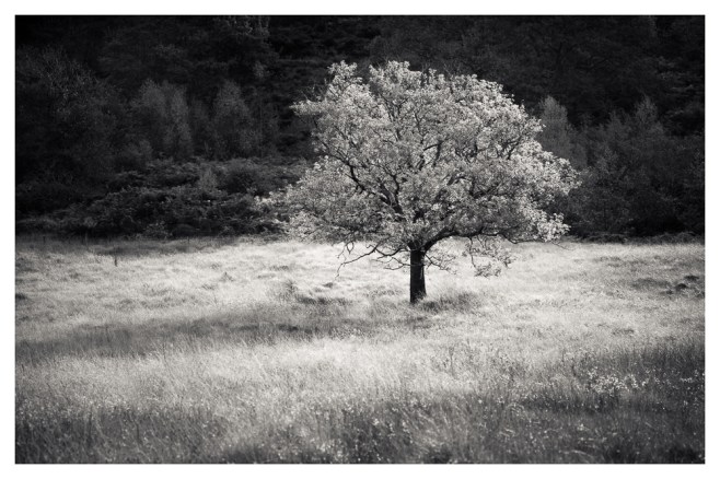 20151028-L1004287-Edit