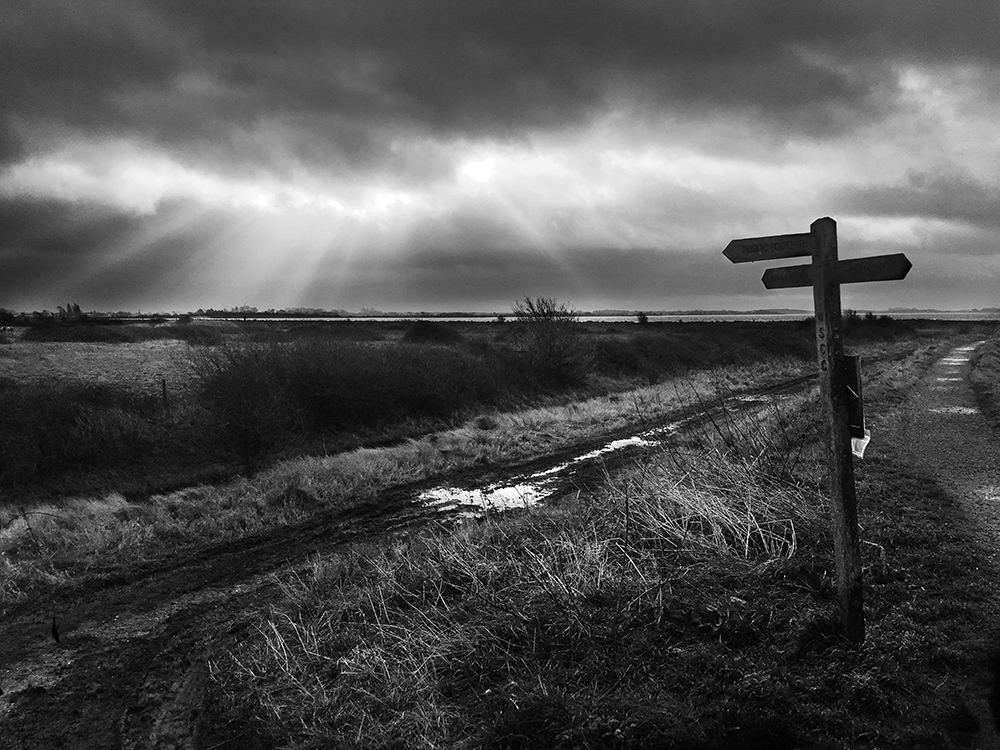 Moody Prinsted for wordpress