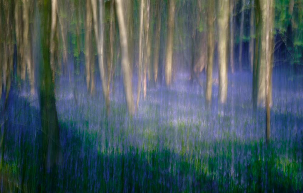 Being creative again…… | alan frost photography